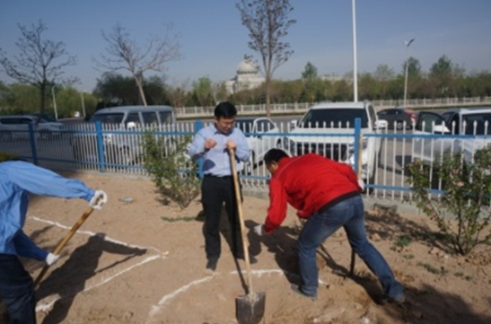 �۸��ʲɹ�����-�Ӵ���