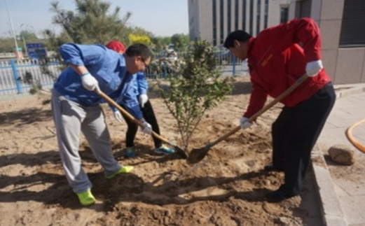 �۸��ʲɹ�����-�Ӵ���