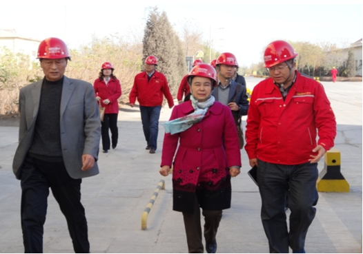 �۸��ʲɹ�����-�Ӵ���