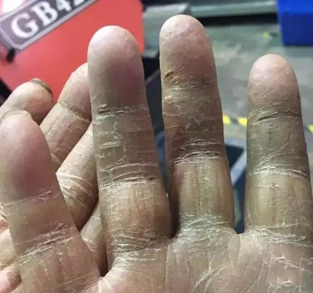 �۸��ʲɹ�����-�Ӵ���