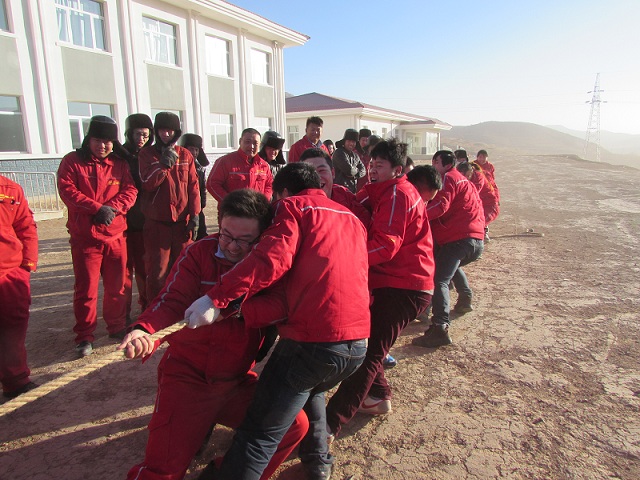 �۸��ʲɹ�����-�Ӵ���